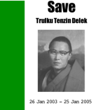 Save Trulku Tenzin Delek Brochure (2005) Save Trulku Tenzin Delek Brochure (2005)