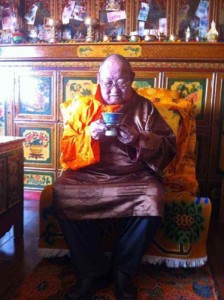Lama Dawa Rinpoche (full name: Dawa Rinpoche Khenrap Wangchuk Samten Tenpai Gyaltsen Pel Sangpo) was detained and sentenced to 7 years in prison. 