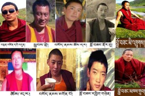 From top left: Tenzin Gedun, Kyapey, Sonam Choedar, Lobsang Norbu and Lobsang Mithrug