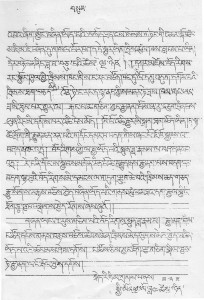 The third and last page of Nyima Dakpa' Kyeri's handwritten testimony in Tibetan.