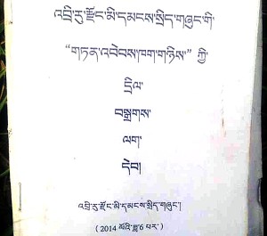 Title page of the temporary regulation passed by Diru County government