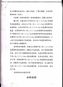 Image 4 of the internal document prepared by the criminal and medical department of the Lhasa Public Security Bureau