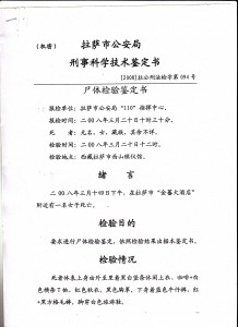 Image 6 of the internal document prepared by the criminal and medical department of the Lhasa Public Security Bureau