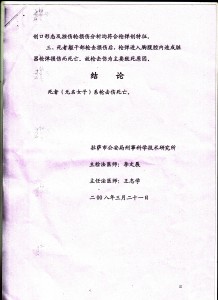 Image 8 of the internal document prepared by the criminal and medical department of the Lhasa Public Security Bureau