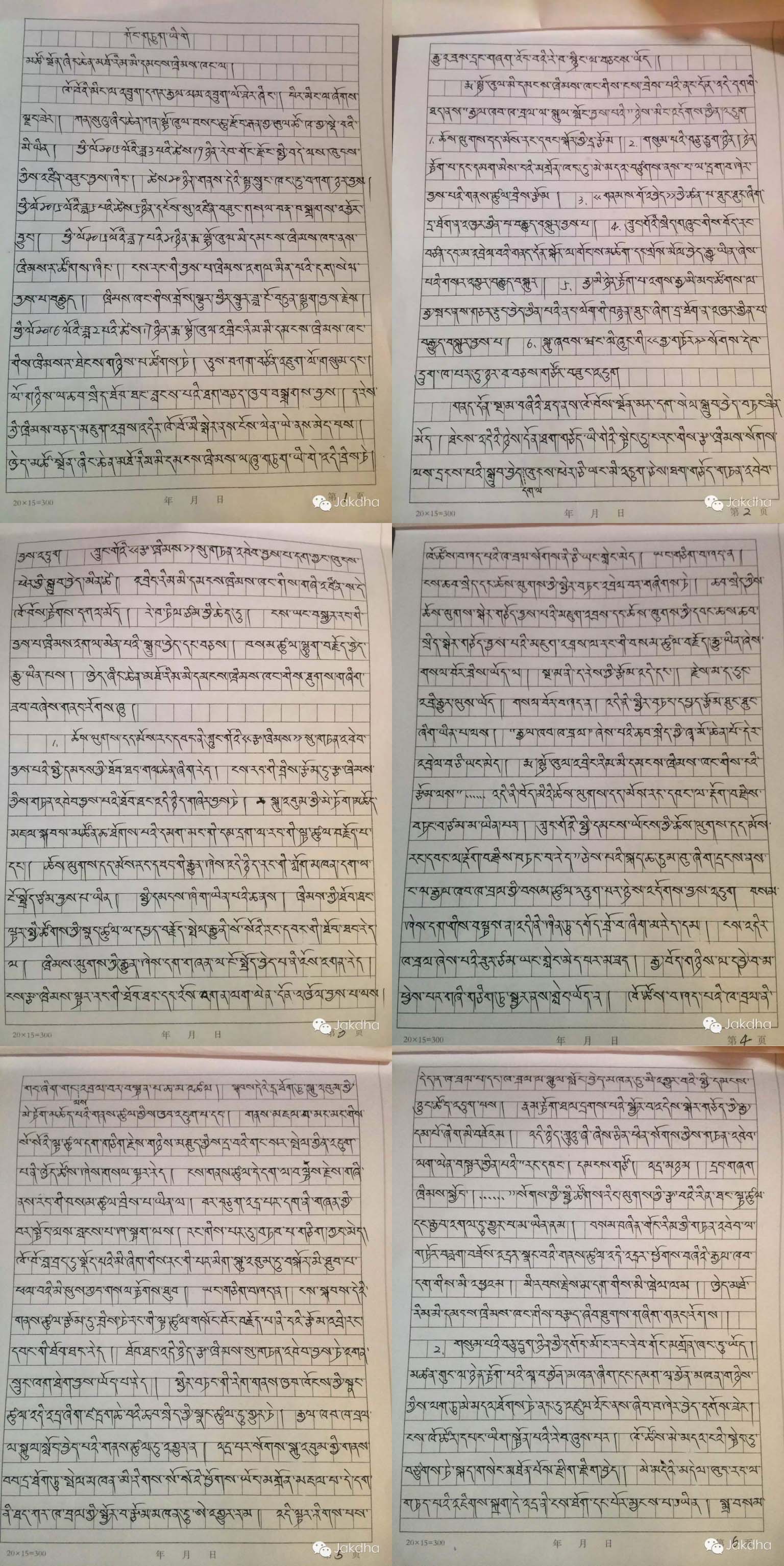 Shokjang's handwritten appeal letter in Tibetan