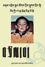 The search for Tibet’s disappeared Panchen Lama: Tibetan translation released on the eve of Human Rights Day The search for Tibet’s disappeared Panchen Lama: Tibetan translation released on the eve of Human Rights Day