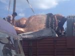 Second Buddha statue torn down and dozen Tibetans detained in Drango Second Buddha statue torn down and dozen Tibetans detained in Drango