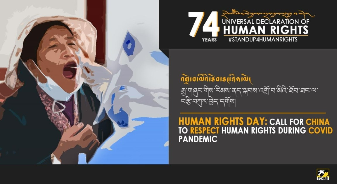 respect for human rights